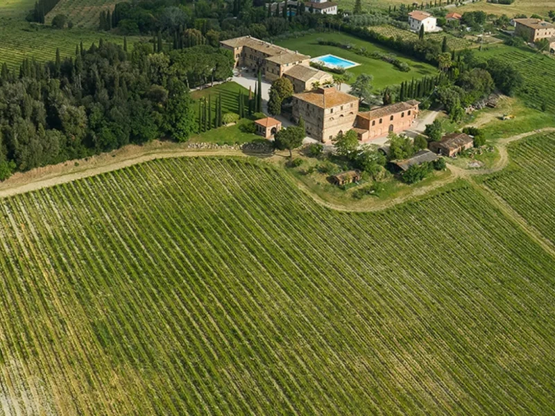 Gallery_vino – 6